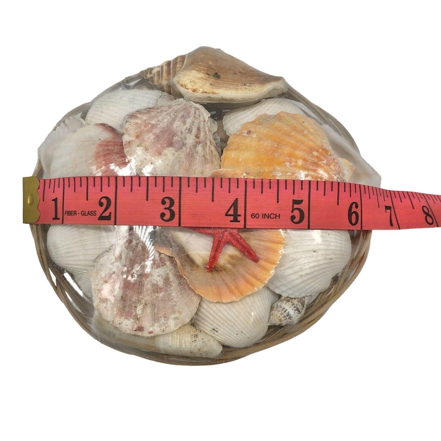 Coastal Decor by Nicole Basket of Seashells Crafts Decoration