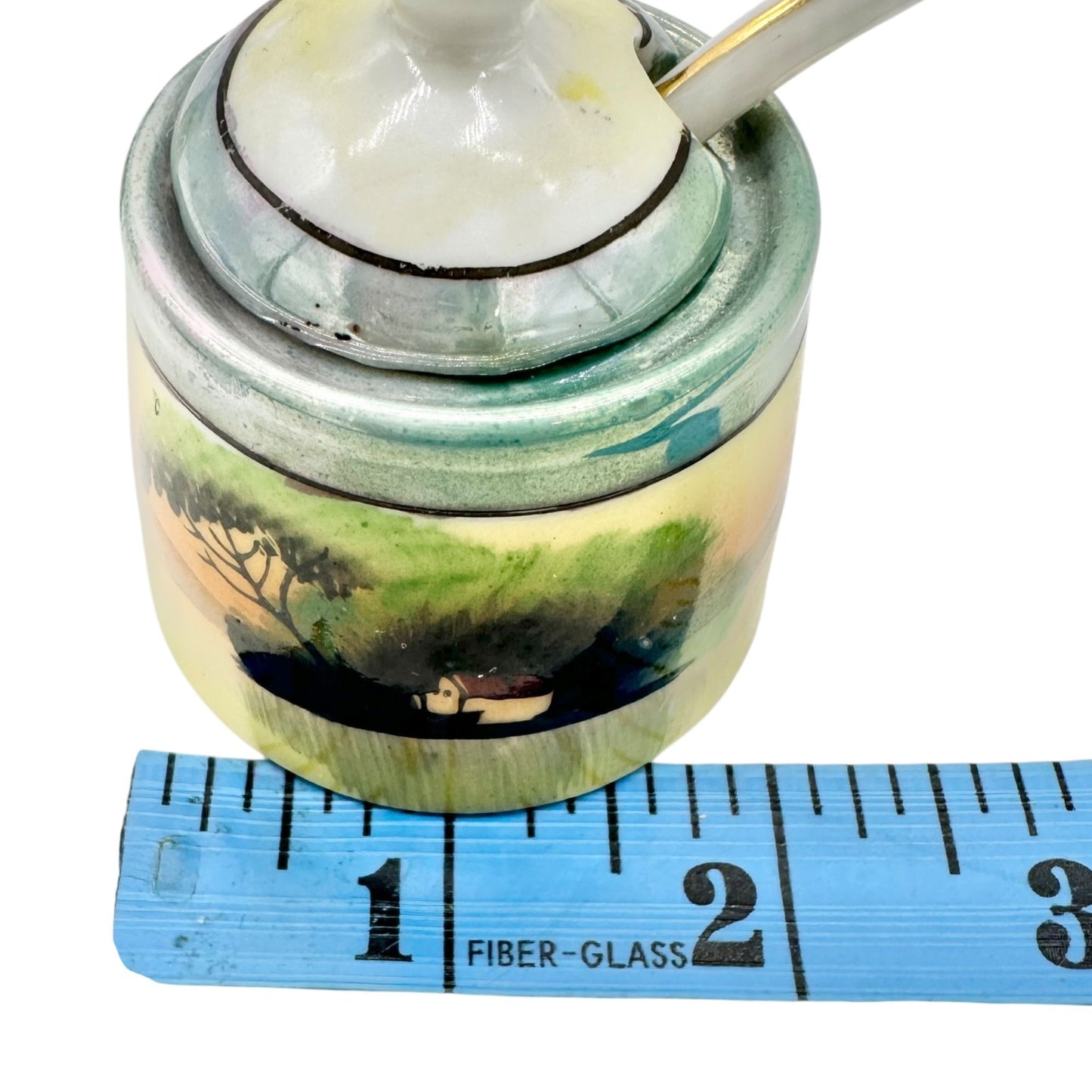 Japanese Condiment 6 pc Set Hand-Painted Tray Jar Spoon Salt Pepper Shakers