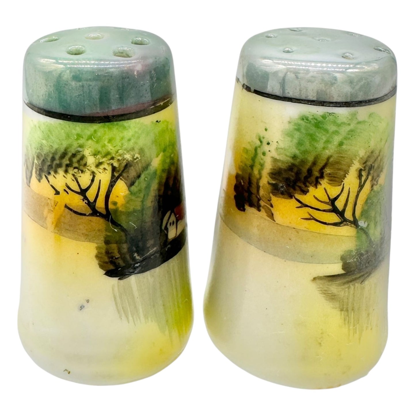 Japanese Condiment 6 pc Set Hand-Painted Tray Jar Spoon Salt Pepper Shakers