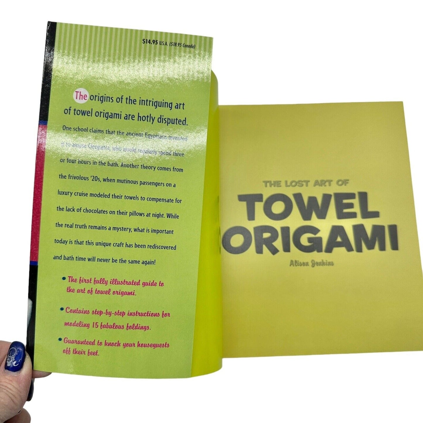 The Lost Art of Towel Origami by Ivy Press and Alison Jenkins 2005