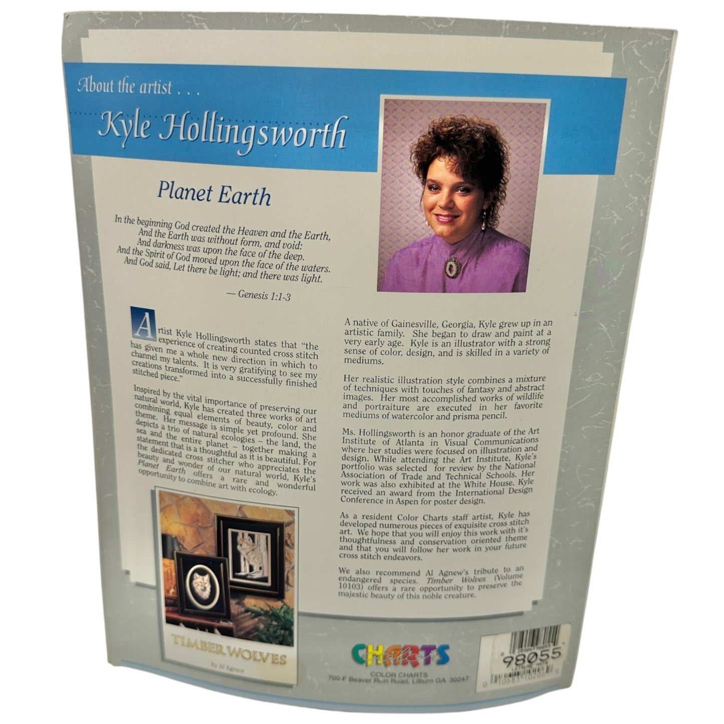 A Heavenly View Of Planet Earth Cross-Stitch Pattern Book By Kyle Hollingsworth