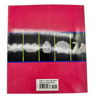 The Lost Art of Towel Origami by Ivy Press and Alison Jenkins 2005