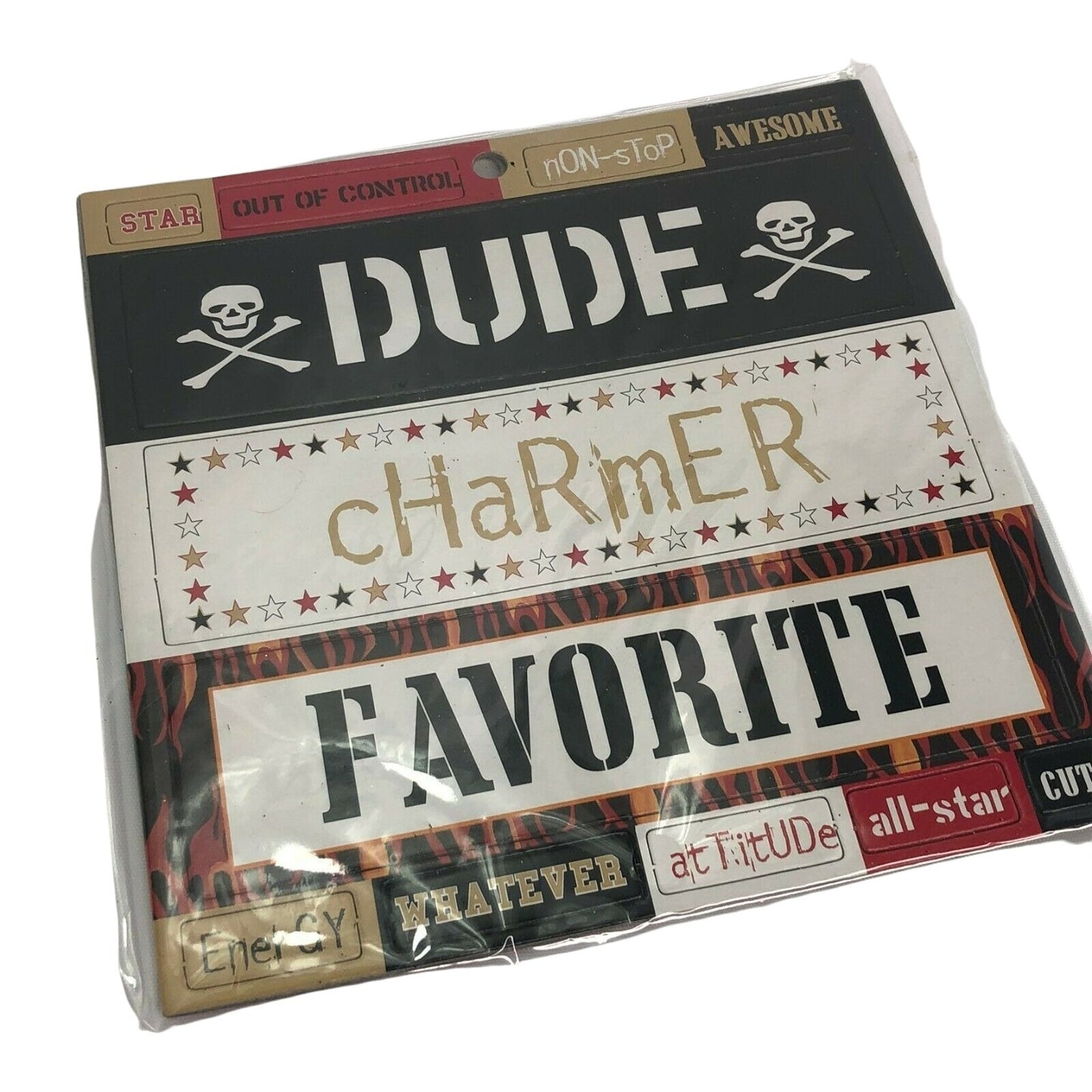 Chipboard Titlez Extreme Boy 1 pkg DUDE Charmer Favorite Scrapbook Mirrors