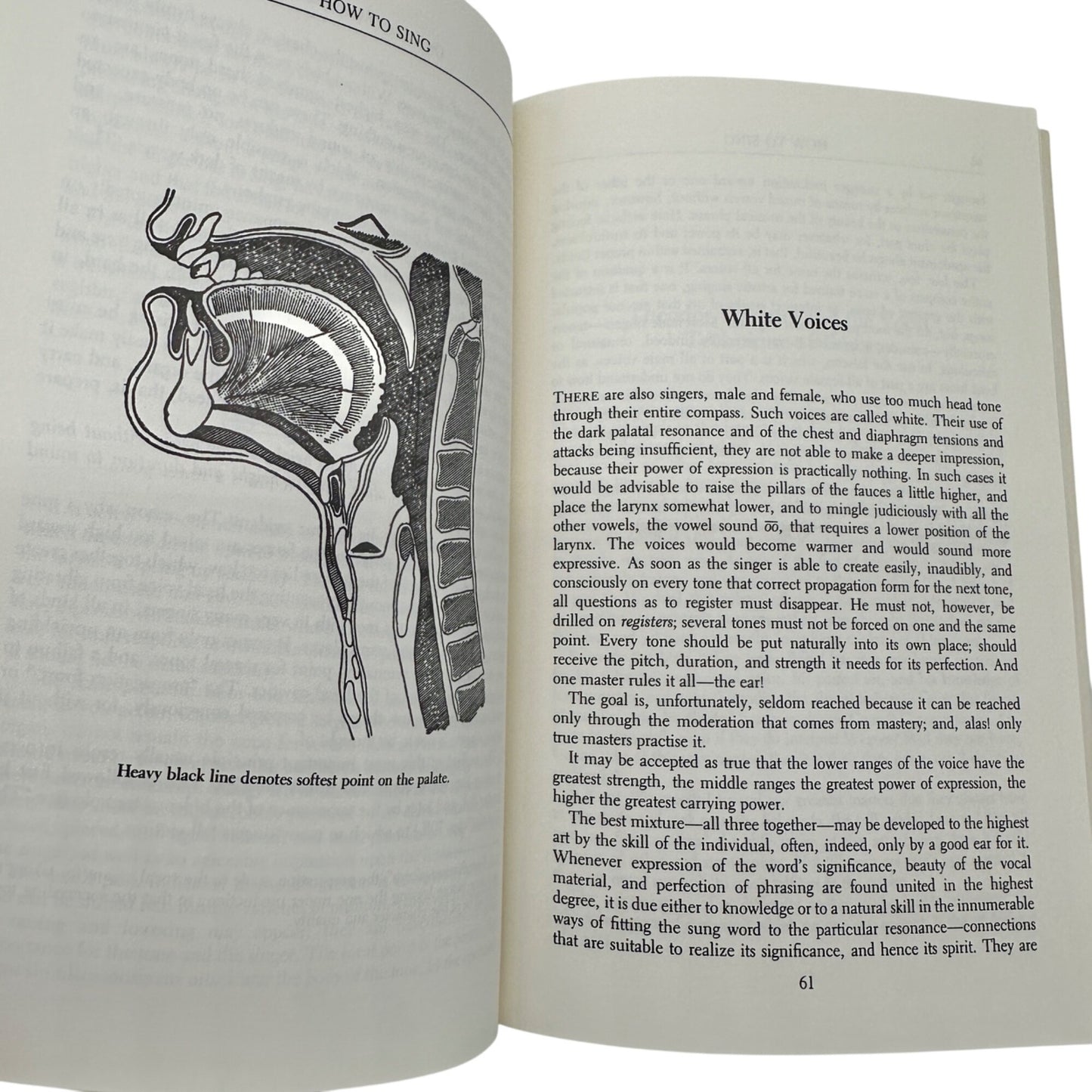 How To Sing 1993 Paperback With 51 Diagrams Music Examples by Lilli Lehmann