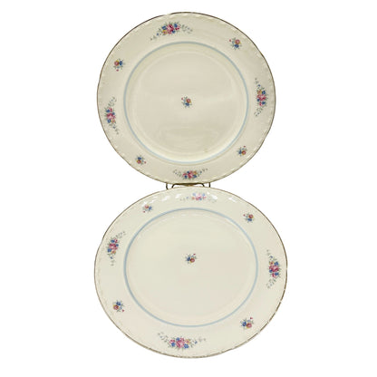 Crooksville China Co Set of 2 Plates 10 inch Cream Gold Trim Blue Pink Florals