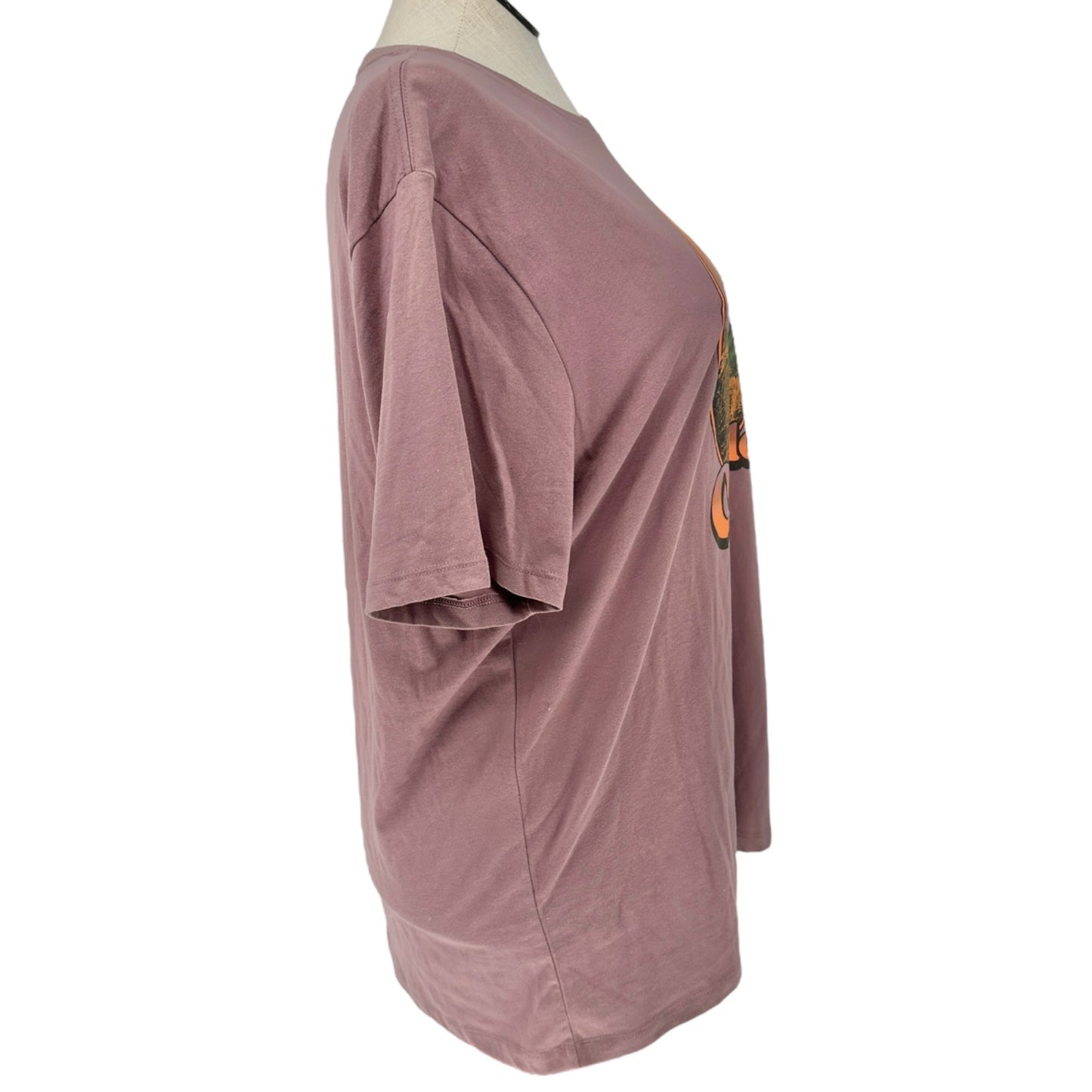 Old Navy XXL Mauve Graphic Tee Colorado Design Soft-Washed Cotton Poly Blend
