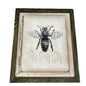 Rustic Framed Bee Wall Art Hive Background 11x13 At Home Brand Hang or Stand