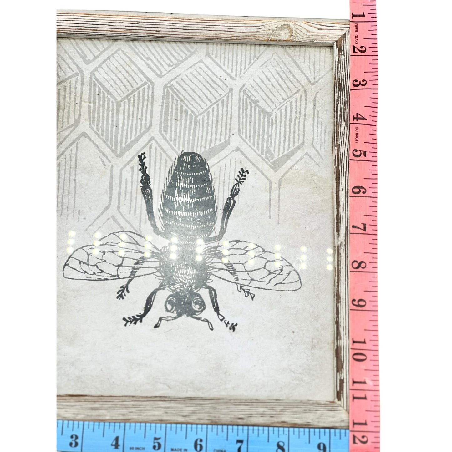 Rustic Framed Bee Wall Art Hive Background 11x13 At Home Brand Hang or Stand