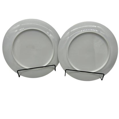 Set Of 2 White China Dinner Plates 9-Inch Diameter Classic Minimalist Design