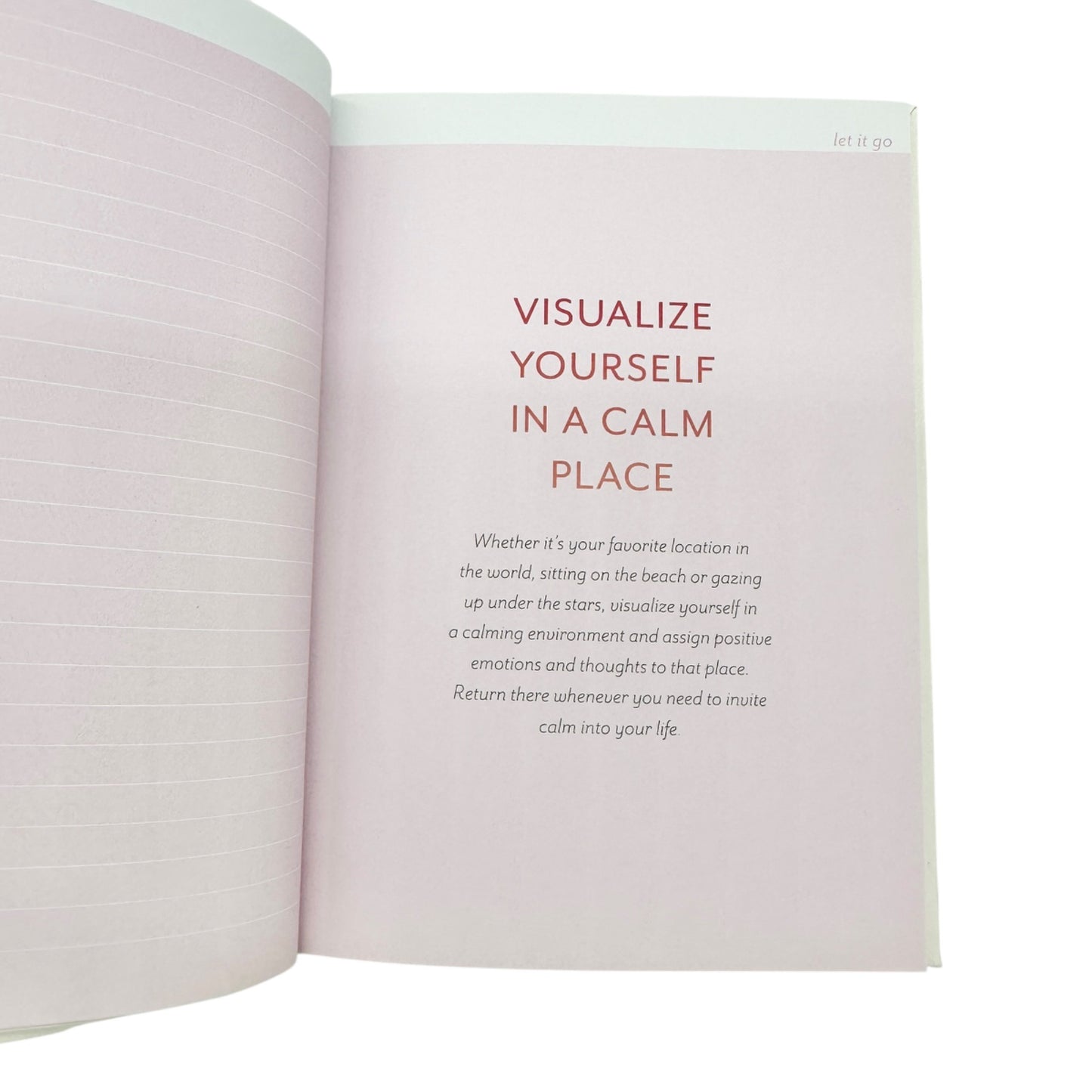 Write It Down Let It Go Worry Relief Journal By Chronicle Books Hardcover