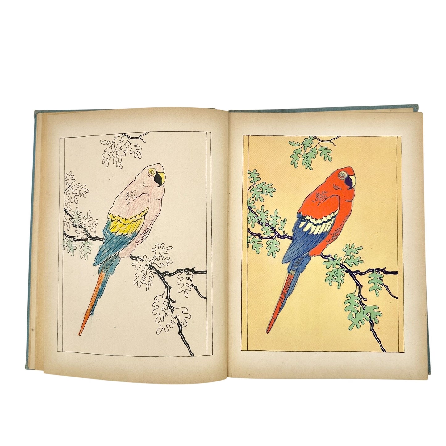 Magic 3 Colors Hardcover 1937 Childrens Book By Dorothy R. Smith & Ethel M. Rice