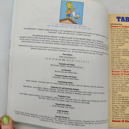 The Simpsons Beyond Forever Seasons 11-12 First Ed 2002 Matt Groening Paperback