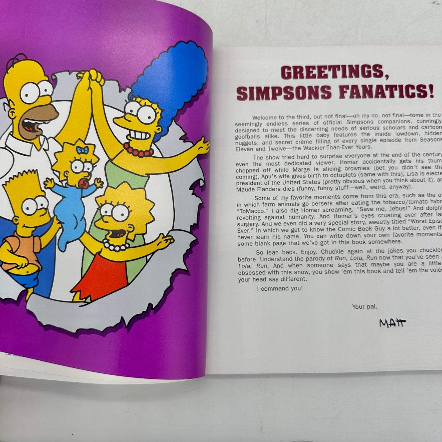The Simpsons Beyond Forever Seasons 11-12 First Ed 2002 Matt Groening Paperback