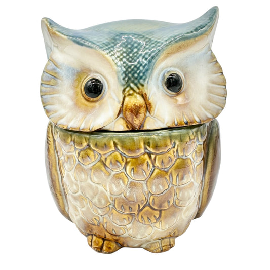Hand-Painted Ceramic Owl Jar With Lid For Storage Or Décor 6x5 Brown and Blue