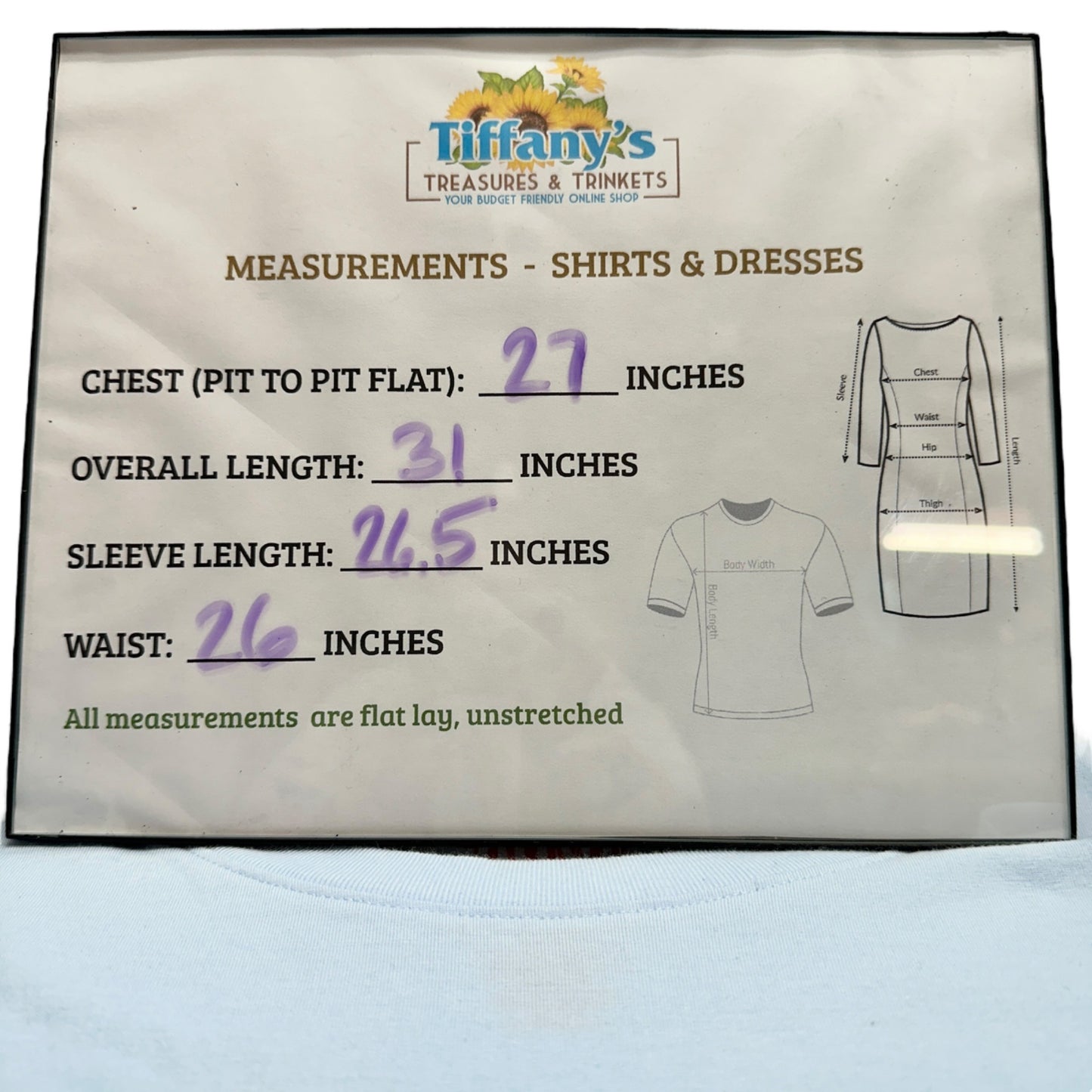 Home Free T-Shirt 2XL Virginia Raised Pale Blue LS Tagless