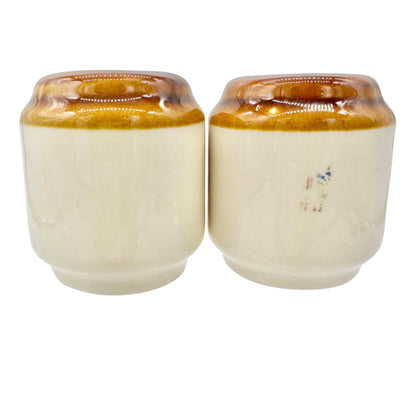 Williamsburg Virginia Ceramic Salt and Pepper Shakers Governors Palace Design