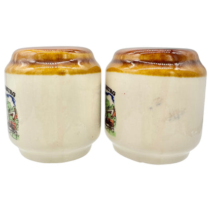 Williamsburg Virginia Ceramic Salt and Pepper Shakers Governors Palace Design