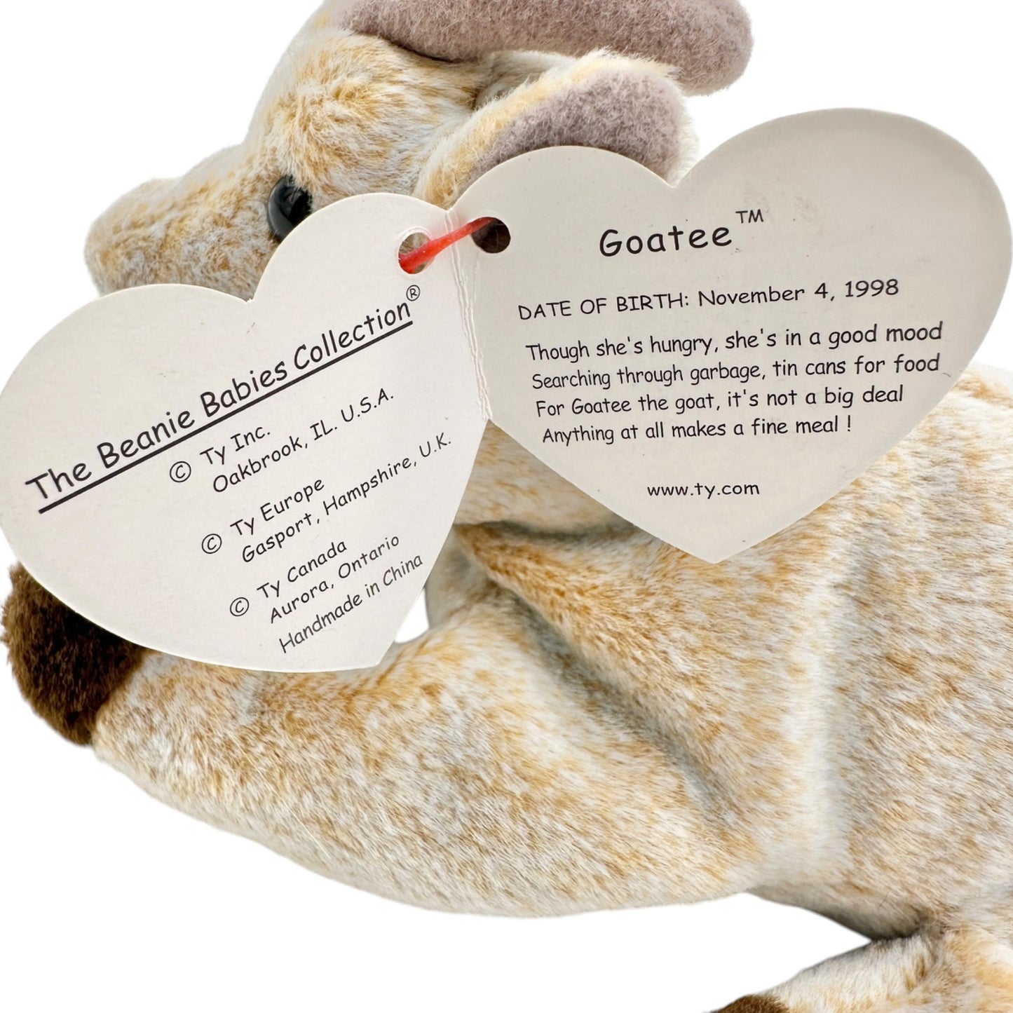 Ty Beanie Babies Goatee The Goat Plush Toy Collectible 1998 With Tags Intact