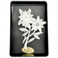 Swiss-Made Edelweiss Lace Brooch Pin All Cotton Floral Design 2 x 2.5 Inches
