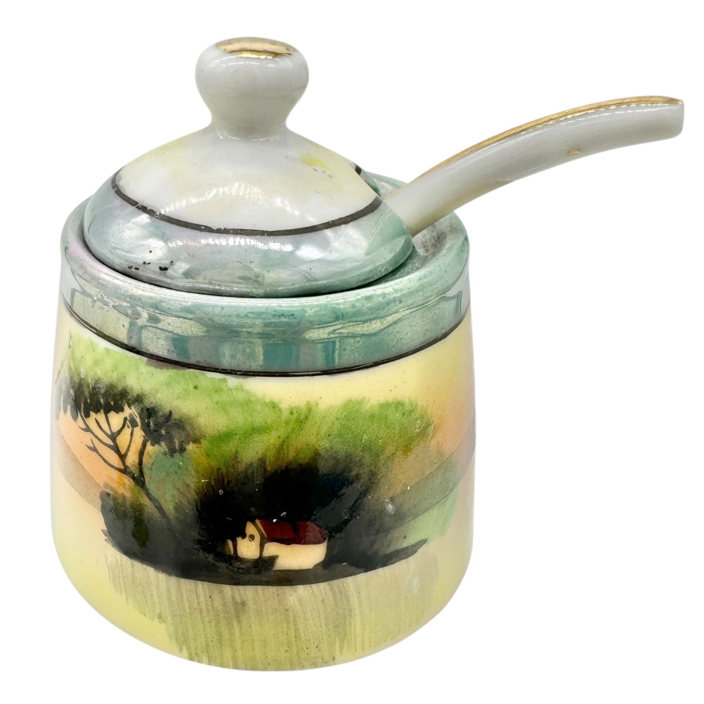 Japanese Condiment 6 pc Set Hand-Painted Tray Jar Spoon Salt Pepper Shakers