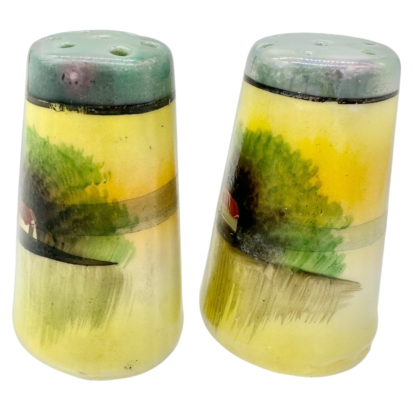 Japanese Condiment 6 pc Set Hand-Painted Tray Jar Spoon Salt Pepper Shakers