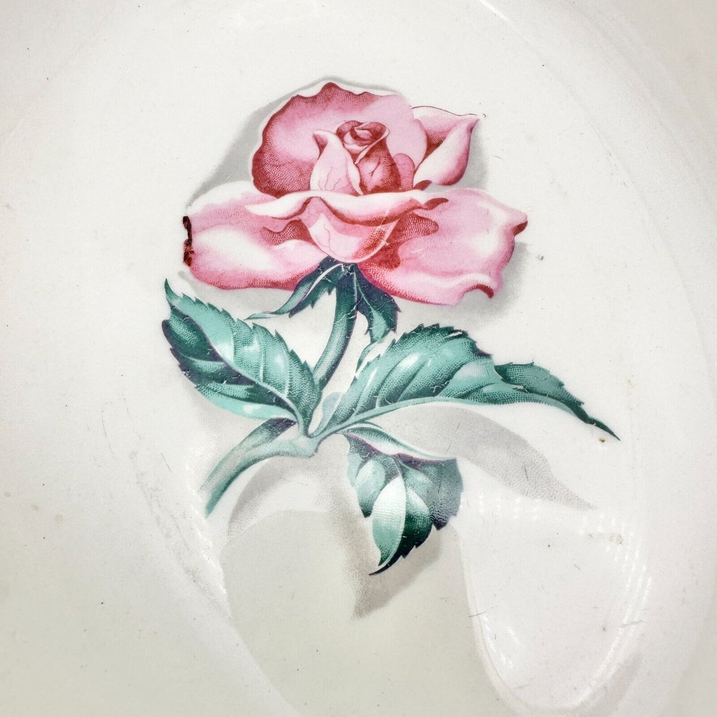 Homer Laughlin Eggshell Nautilus Rhythm Rose 2 China Serving Bowl 9 x 7 F54N8